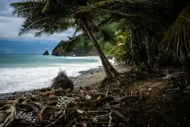 Costa Rica // Península de Osa