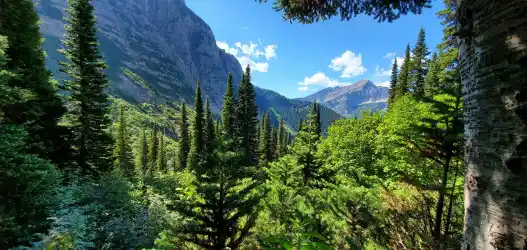 États-Unis // West Glacier