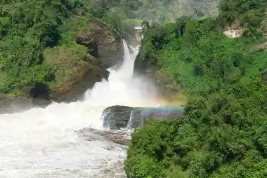 Ouganda // Murchison Falls